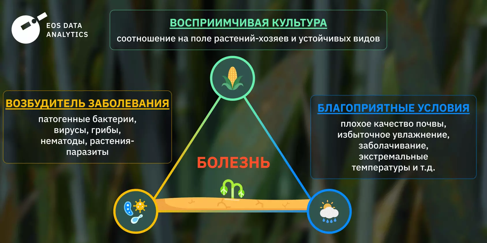 Болезни растений: причины и эффективные методы защиты