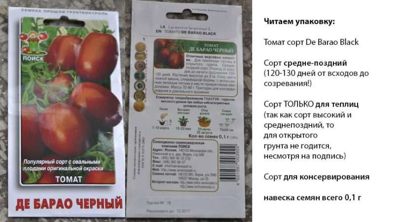Выбор сортов овощей для огорода: подробный список с описаниями