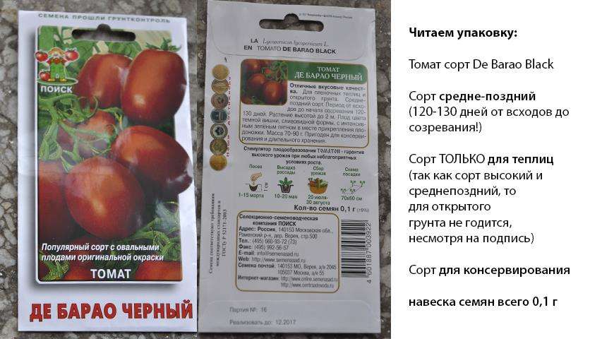 Выбор сортов овощей для огорода: подробный список с описаниями
