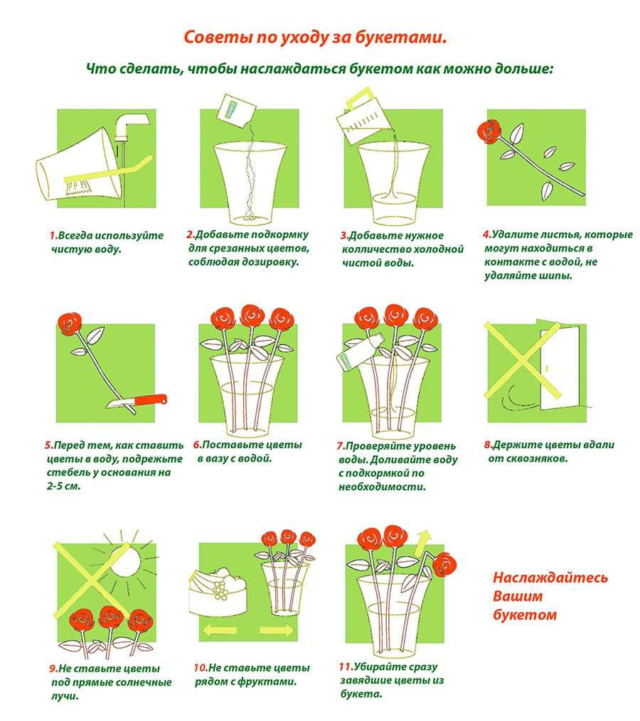 Выращивание и уход за цветами: советы и рекомендации с фото
