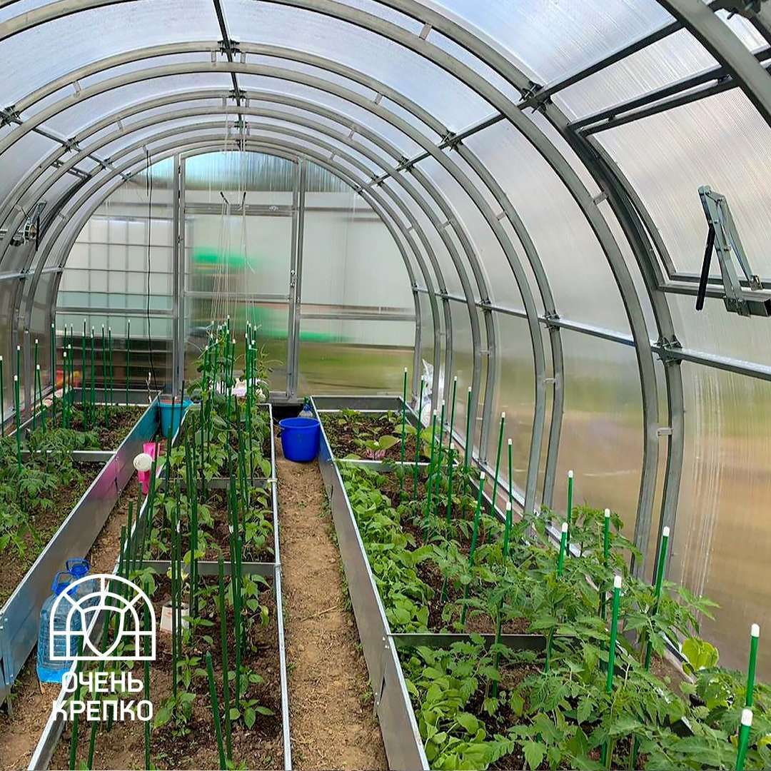 Выращивание овощей в теплице: полное руководство для начинающих