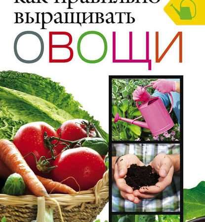 Выращивание овощей для продаж: полное руководство