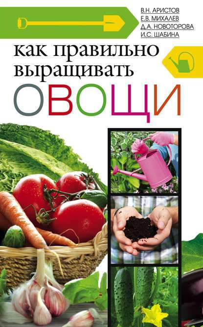 Выращивание овощей для продаж: полное руководство