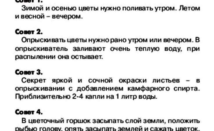 Выращивание садовых цветов: советы и секреты