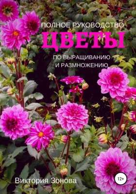 Выращивание цветов из семян: подробное руководство