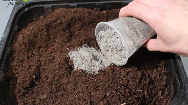 Грунт для выращивания овощей: какой лучше и как подготовить почву к посадке