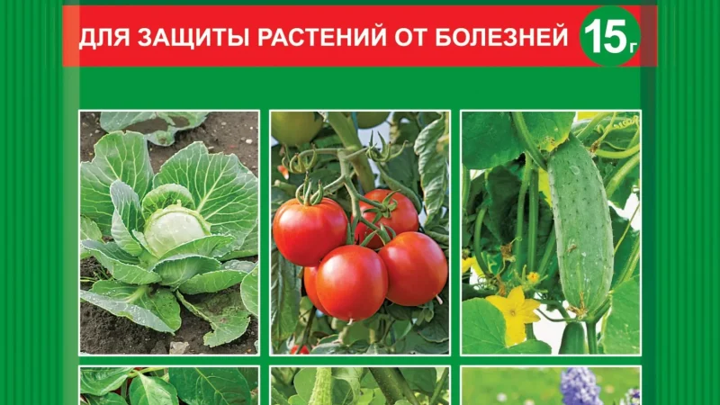 Защита растений от болезней: комплексный подход к здоровому саду и огороду