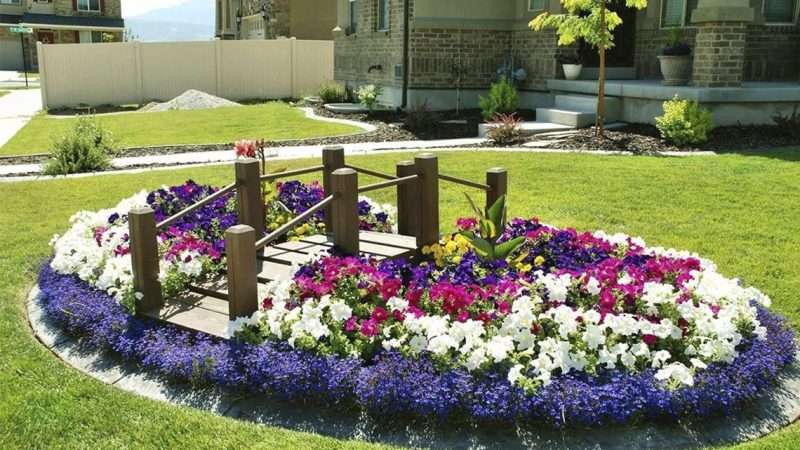 Идеи для цветников и клумб