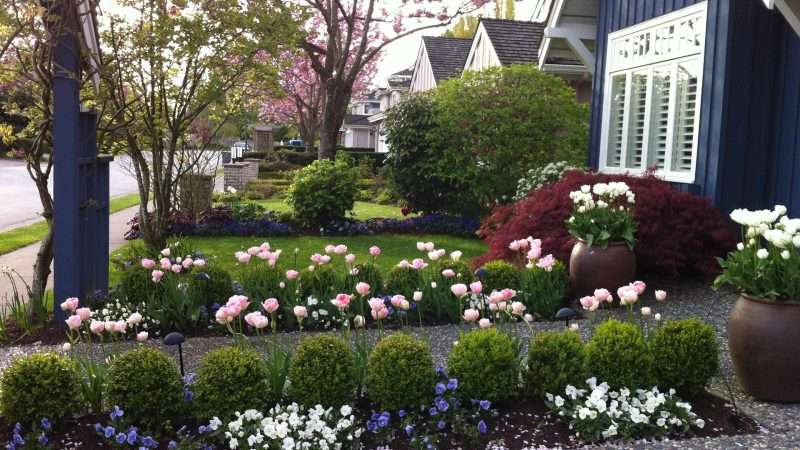 Идеи и фото цветников и клумб для дачи