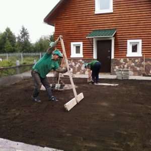 Как создать газон на даче своими руками: пошаговая инструкция