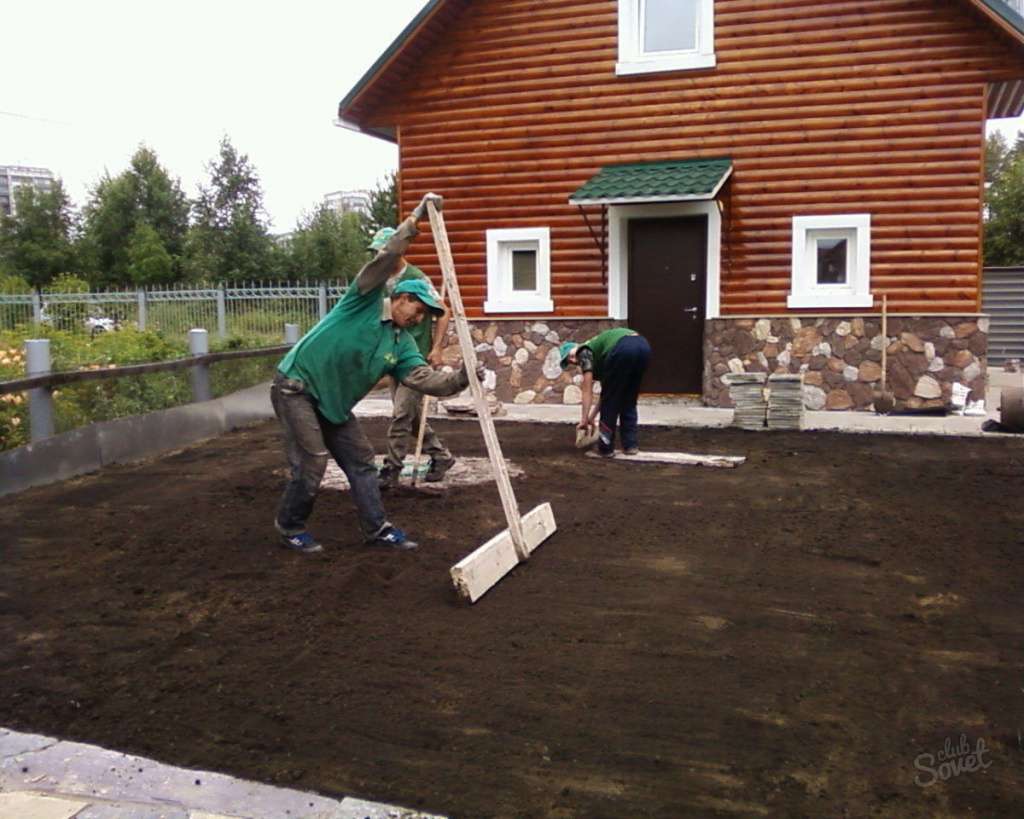 Как создать газон на даче своими руками: пошаговая инструкция