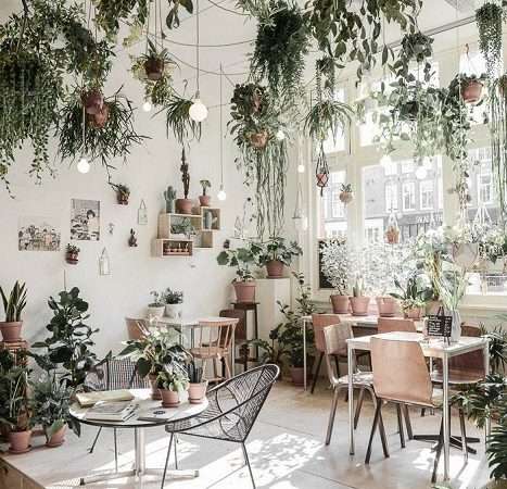 Как создать уютный уголок с живыми растениями в доме