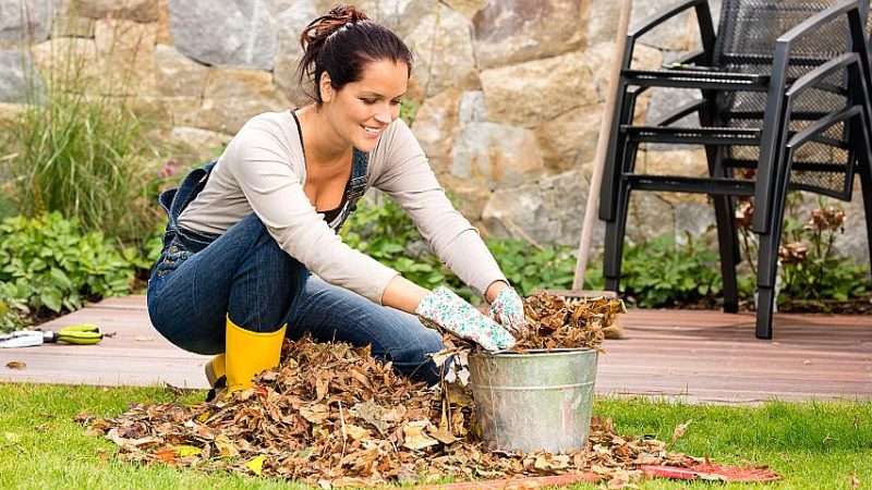 Как удобрять почву осенью: полное руководство для садоводов и огородников