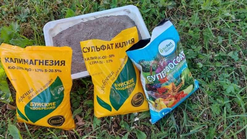 Когда и какие удобрения лучше вносить осенью