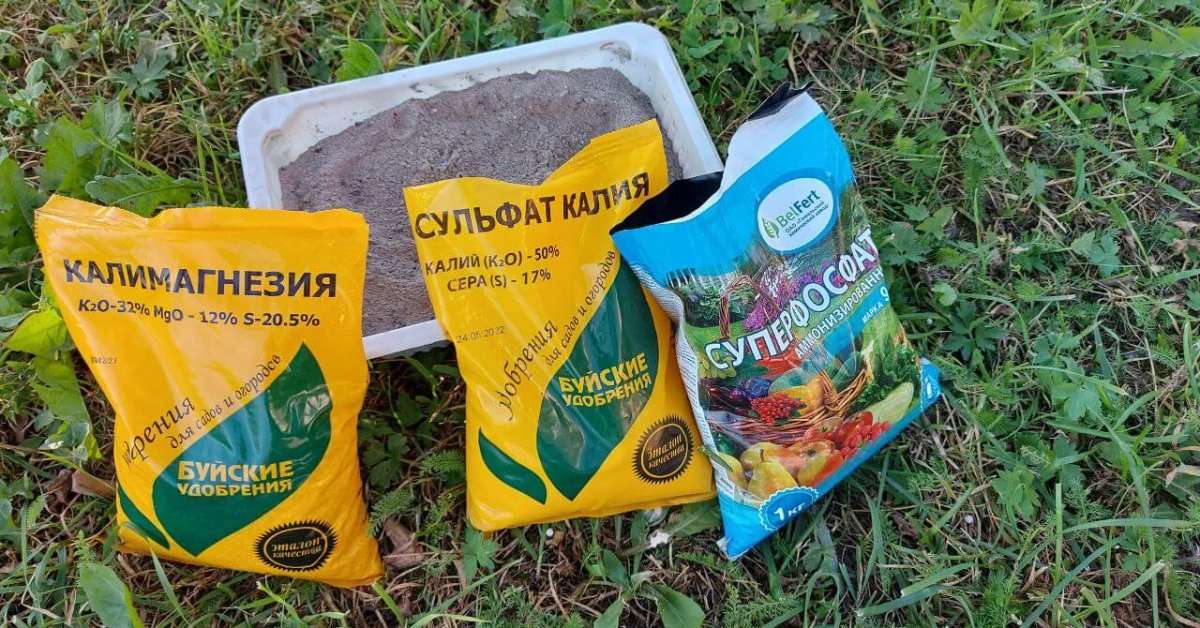 Когда и какие удобрения лучше вносить осенью