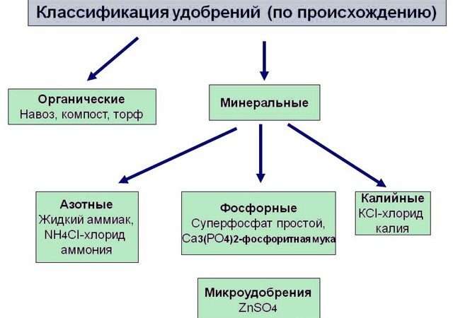 Минеральные удобрения почв: Классификация, преимущества и применение