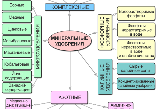 Минеральные удобрения: роль, виды и применение