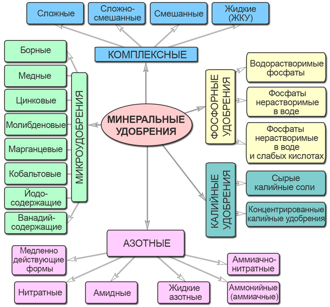 Минеральные удобрения: роль, виды и применение