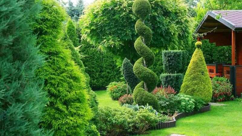 Обработка деревьев и кустарников: полное руководство по уходу за садом