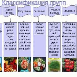 Овощи: Классификация, популярные сорта и советы по выращиванию