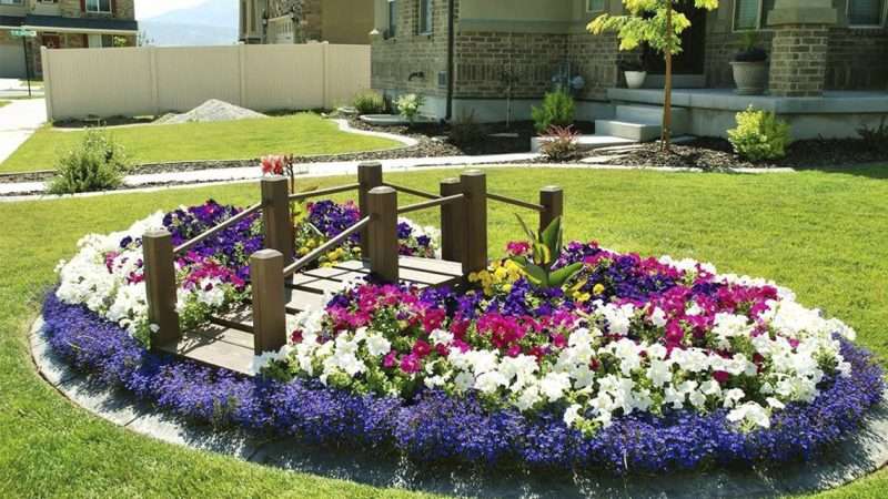 Оригинальные клумбы для цветников: создаем неповторимый дизайн своими руками
