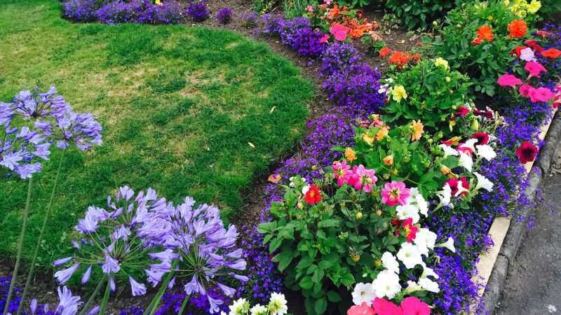 Оригинальные клумбы и цветники своими руками: идеи и вдохновение
