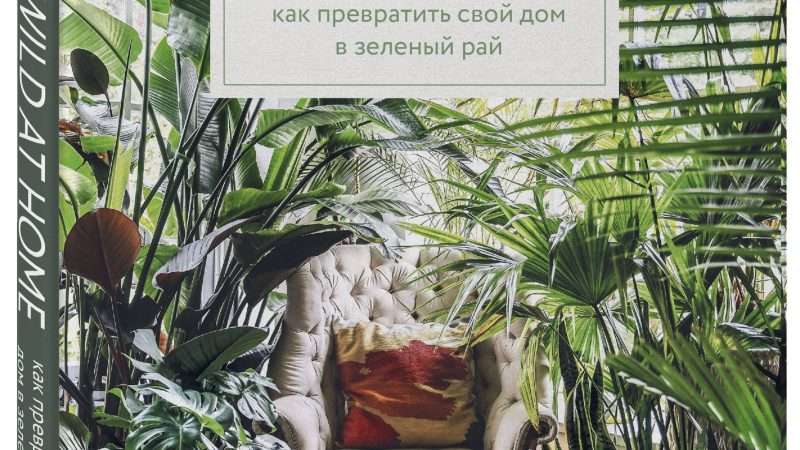 Создаем зеленый рай: все о магазинах комнатных растений