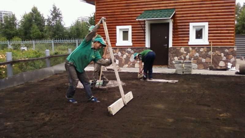 Создание газона на даче своими руками: пошаговая инструкция