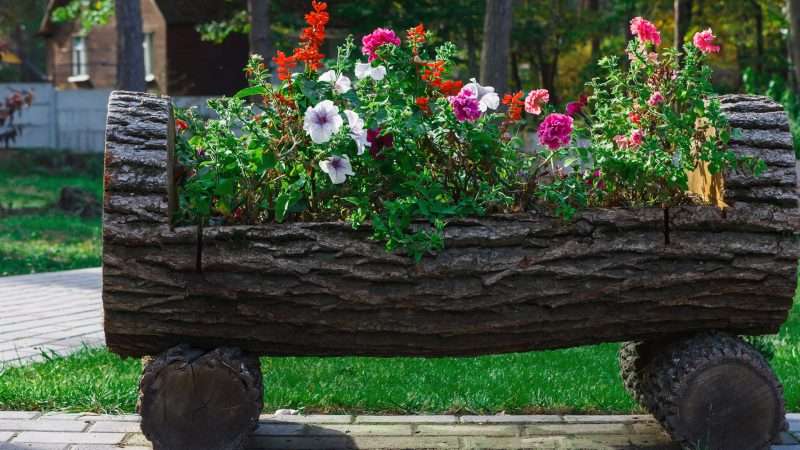 Создание красивой клумбы своими руками: советы и рекомендации