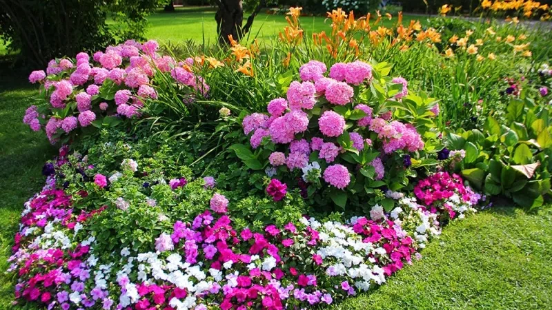 Создание цветника на даче: идеи, планирование и выбор растений