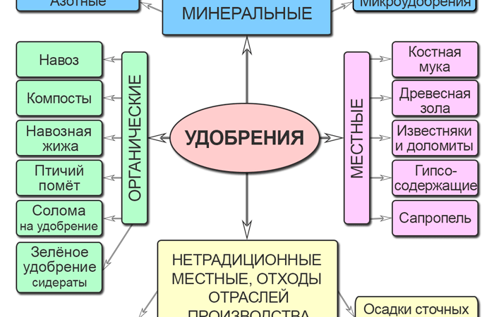 Удобрения: виды, применение и значение для плодородия почвы