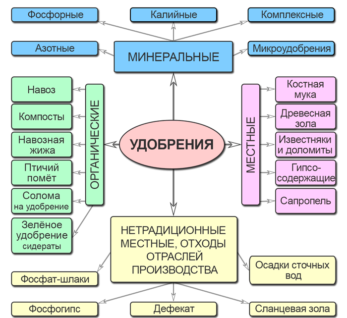 Удобрения: виды, применение и значение для плодородия почвы