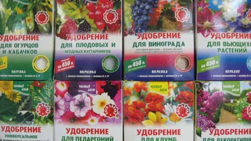 Удобрения для кислой почвы: виды и применение