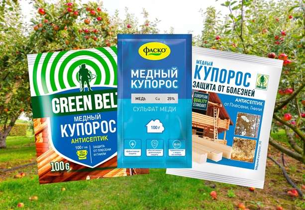 Чем обработать деревья и кустарники на даче осенью