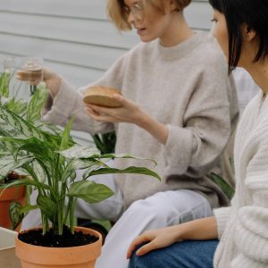 Мир комнатных растений: как выбрать и обеспечить правильный уход