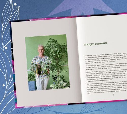 Путь к Процветающему Саду: Полное Руководство по Уходу за Цветами