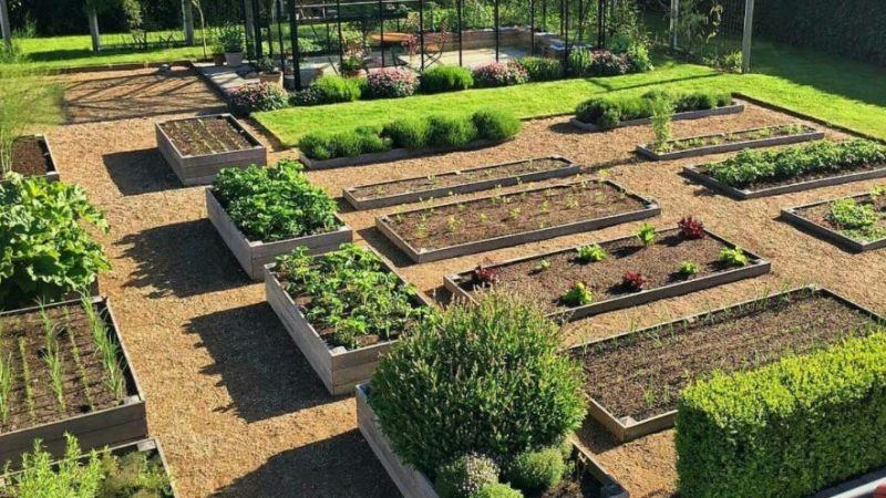 Дизайн дачи с огородом: как совместить грядки, цветы и зону отдыха