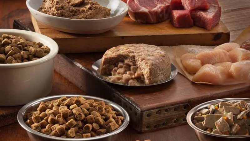 Беззерновые корма для собак: польза или маркетинговый ход