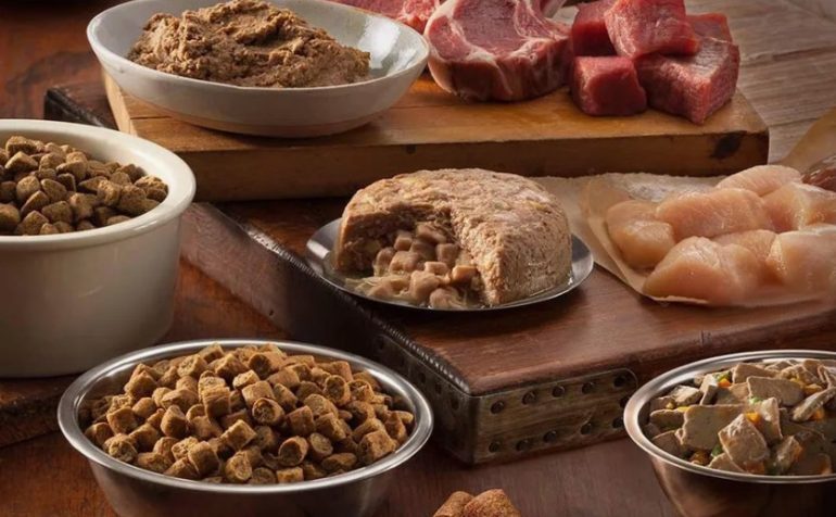 Беззерновые корма для собак: польза или маркетинговый ход