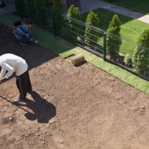 Как подготовить участок к озеленению: основные этапы